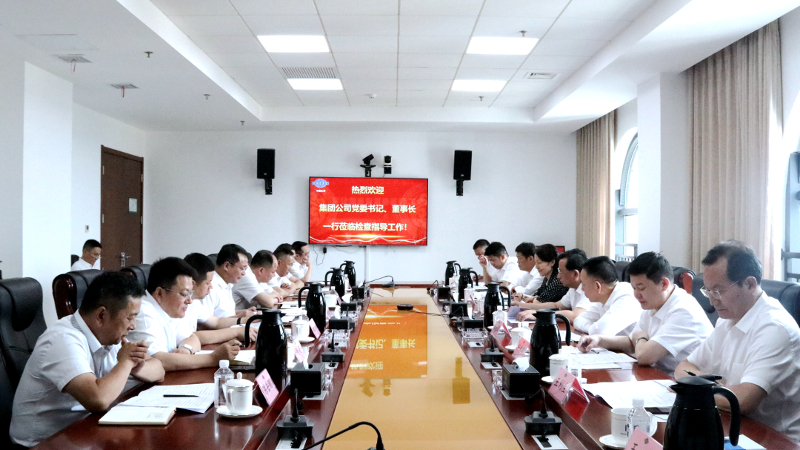 2022年6月，集團(tuán)公司黨委書記、董事長戴和根一行到公司調(diào)研指導(dǎo)工作